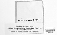 Image Associated With the Occurence